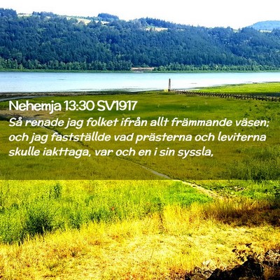 Picture 02 - Nehemja 13:30 SV1917 - Så renade jag folket ifrån allt främmande - Bible Verse Picture