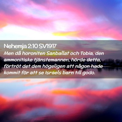 Picture 02 - Nehemja 2:10 SV1917 - Men då horoniten Sanballat och Tobia, den - Bible Verse Picture