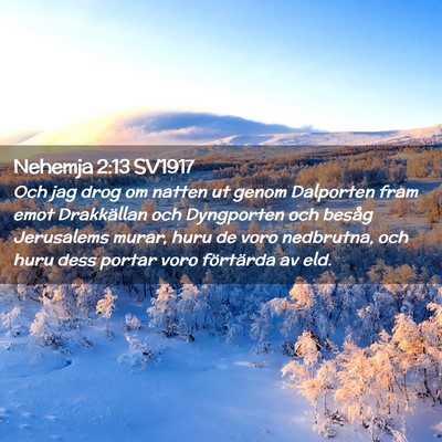 Picture 02 - Nehemja 2:13 SV1917 - Och jag drog om natten ut genom Dalporten fram - Bible Verse Picture