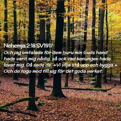 Picture 02 - Nehemja 2:18 SV1917 - Och jag omtalade för dem huru min Guds hand hade - Bible Verse Picture