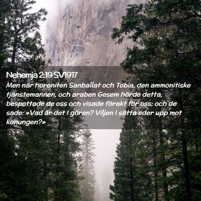 Picture 02 - Nehemja 2:19 SV1917 - Men när horoniten Sanballat och Tobia, den - Bible Verse Picture