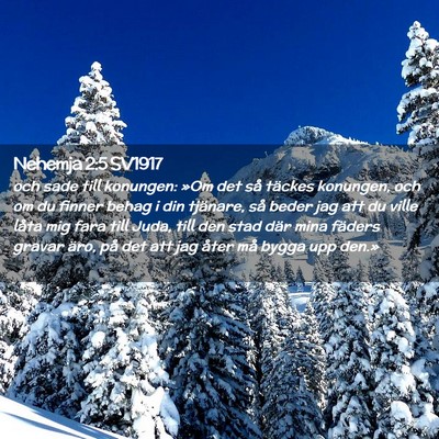 Picture 02 - Nehemja 2:5 SV1917 - och sade till konungen: »Om det så täckes - Bible Verse Picture