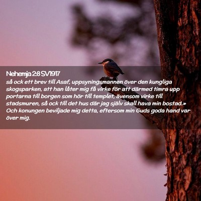 Picture 02 - Nehemja 2:8 SV1917 - så ock ett brev till Asaf, uppsyningsmannen - Bible Verse Picture