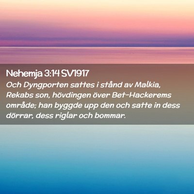 Picture 02 - Nehemja 3:14 SV1917 - Och Dyngporten sattes i stånd av Malkia, Rekabs - Bible Verse Picture