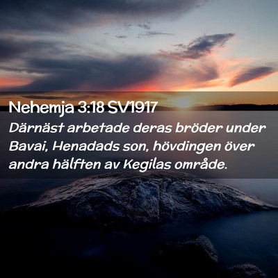 Picture 02 - Nehemja 3:18 SV1917 - Därnäst arbetade deras bröder under Bavai, - Bible Verse Picture