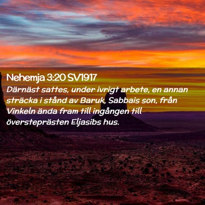 Picture 02 - Nehemja 3:20 SV1917 - Därnäst sattes, under ivrigt arbete, en annan - Bible Verse Picture