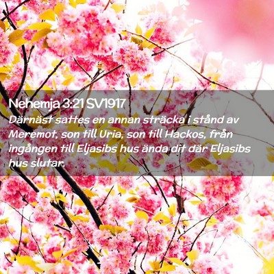 Picture 02 - Nehemja 3:21 SV1917 - Därnäst sattes en annan sträcka i stånd av - Bible Verse Picture