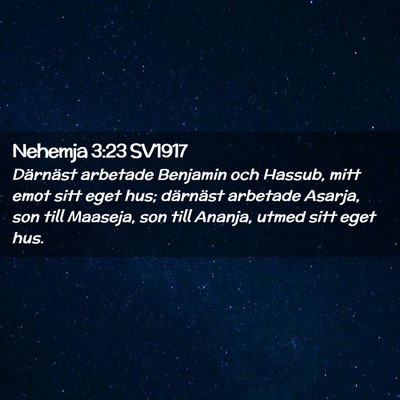 Picture 02 - Nehemja 3:23 SV1917 - Därnäst arbetade Benjamin och Hassub, mitt emot - Bible Verse Picture