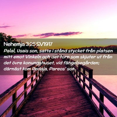 Picture 02 - Nehemja 3:25 SV1917 - Palal, Usais son, satte i stånd stycket från - Bible Verse Picture