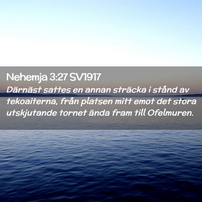 Picture 02 - Nehemja 3:27 SV1917 - Därnäst sattes en annan sträcka i stånd av - Bible Verse Picture