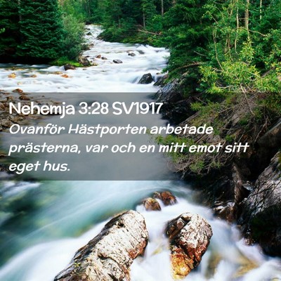 Picture 02 - Nehemja 3:28 SV1917 - Ovanför Hästporten arbetade prästerna, var och - Bible Verse Picture
