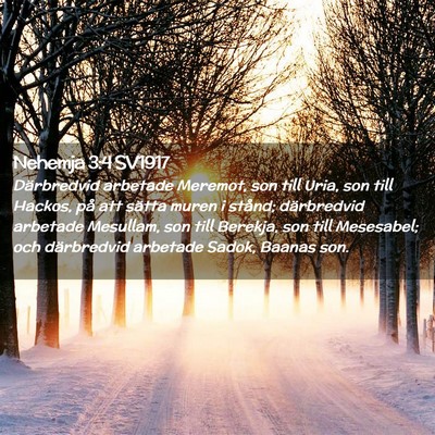 Picture 02 - Nehemja 3:4 SV1917 - Därbredvid arbetade Meremot, son till Uria, son - Bible Verse Picture
