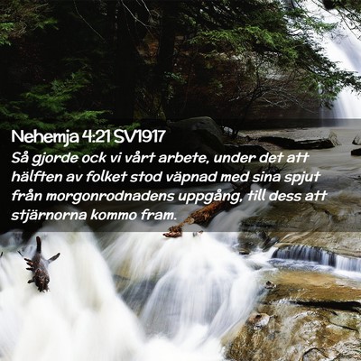 Picture 02 - Nehemja 4:21 SV1917 - Så gjorde ock vi vårt arbete, under det att - Bible Verse Picture