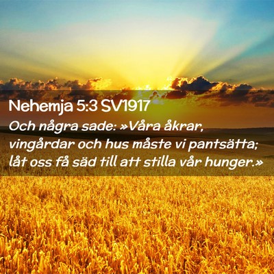 Picture 02 - Nehemja 5:3 SV1917 - Och några sade: »Våra åkrar, vingårdar och - Bible Verse Picture