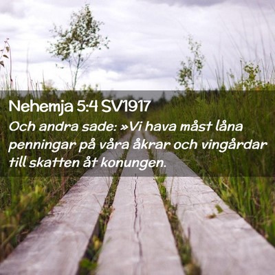 Picture 02 - Nehemja 5:4 SV1917 - Och andra sade: »Vi hava måst låna penningar - Bible Verse Picture