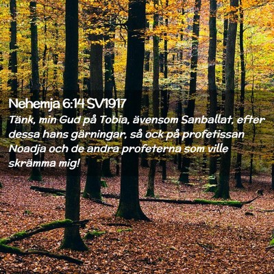 Picture 02 - Nehemja 6:14 SV1917 - Tänk, min Gud på Tobia, ävensom Sanballat, - Bible Verse Picture