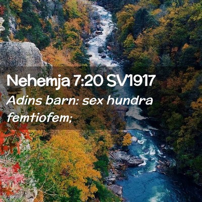 Picture 02 - Nehemja 7:20 SV1917 - Adins barn: sex hundra - Bible Verse Picture