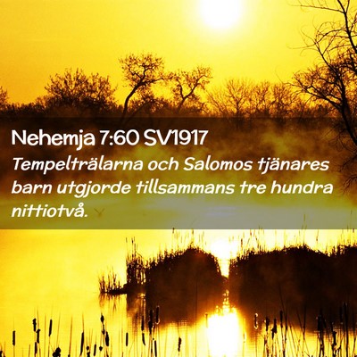 Picture 02 - Nehemja 7:60 SV1917 - Tempelträlarna och Salomos tjänares barn - Bible Verse Picture