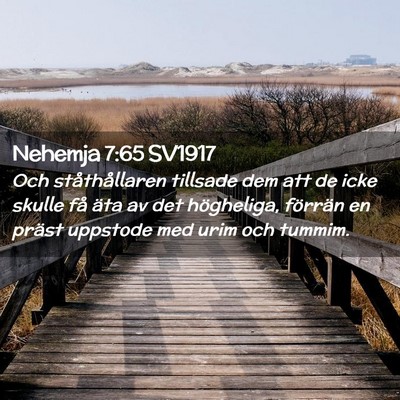 Picture 02 - Nehemja 7:65 SV1917 - Och ståthållaren tillsade dem att de icke - Bible Verse Picture