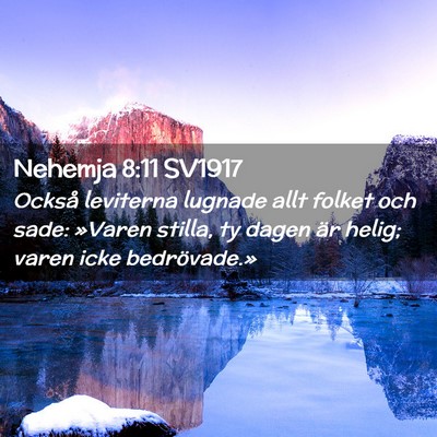Picture 02 - Nehemja 8:11 SV1917 - Också leviterna lugnade allt folket och sade: - Bible Verse Picture