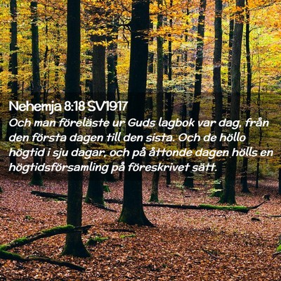 Picture 02 - Nehemja 8:18 SV1917 - Och man föreläste ur Guds lagbok var dag, från - Bible Verse Picture