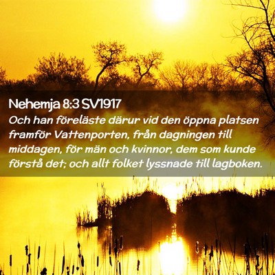 Picture 02 - Nehemja 8:3 SV1917 - Och han föreläste därur vid den öppna platsen - Bible Verse Picture