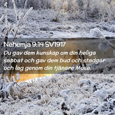 Picture 02 - Nehemja 9:14 SV1917 - Du gav dem kunskap om din heliga sabbat och gav - Bible Verse Picture