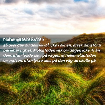 Picture 02 - Nehemja 9:19 SV1917 - så övergav du dem likväl icke i öknen, efter - Bible Verse Picture
