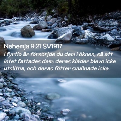 Picture 02 - Nehemja 9:21 SV1917 - I fyrtio år försörjde du dem i öknen, så att - Bible Verse Picture