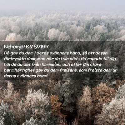 Picture 02 - Nehemja 9:27 SV1917 - Då gav du dem i deras ovänners hand, så att - Bible Verse Picture