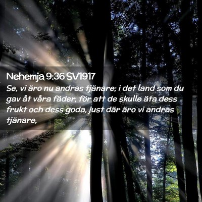 Picture 02 - Nehemja 9:36 SV1917 - Se, vi äro nu andras tjänare; i det land som du - Bible Verse Picture