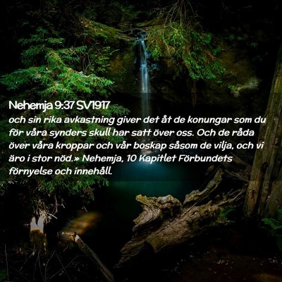 Picture 02 - Nehemja 9:37 SV1917 - och sin rika avkastning giver det åt de konungar - Bible Verse Picture