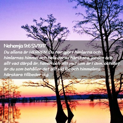 Picture 02 - Nehemja 9:6 SV1917 - Du allena är HERREN. Du har gjort himlarna och - Bible Verse Picture