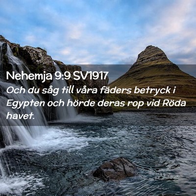 Picture 02 - Nehemja 9:9 SV1917 - Och du såg till våra fäders betryck i Egypten - Bible Verse Picture
