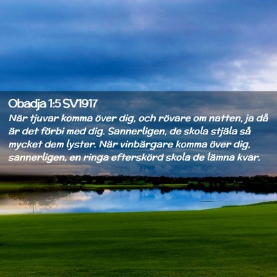 Picture 02 - Obadja 1:5 SV1917 - När tjuvar komma över dig, och rövare om - Bible Verse Picture