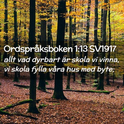 Picture 02 - Ordspråksboken 1:13 SV1917 - allt vad dyrbart är skola vi vinna, vi skola - Bible Verse Picture