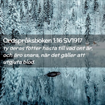 Picture 02 - Ordspråksboken 1:16 SV1917 - ty deras fötter hasta till vad ont är, och äro - Bible Verse Picture
