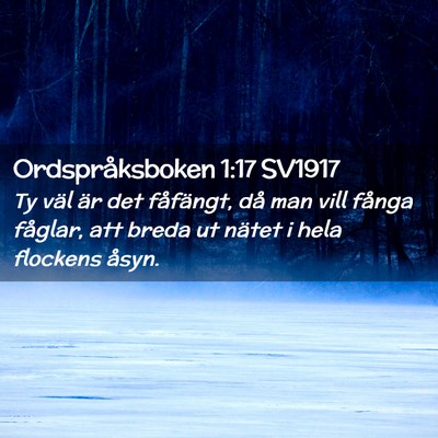 Picture 02 - Ordspråksboken 1:17 SV1917 - Ty väl är det fåfängt, då man vill fånga - Bible Verse Picture