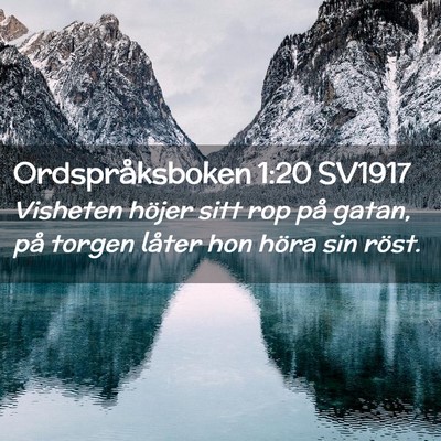 Picture 02 - Ordspråksboken 1:20 SV1917 - Visheten höjer sitt rop på gatan, på torgen - Bible Verse Picture