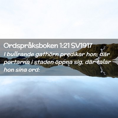 Picture 02 - Ordspråksboken 1:21 SV1917 - I bullrande gathörn predikar hon; där portarna - Bible Verse Picture