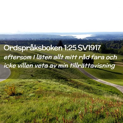 Picture 02 - Ordspråksboken 1:25 SV1917 - eftersom I läten allt mitt råd fara och icke - Bible Verse Picture