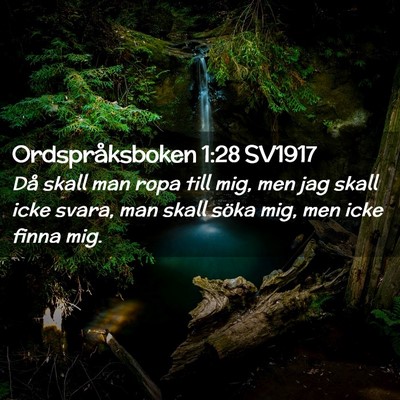 Picture 02 - Ordspråksboken 1:28 SV1917 - Då skall man ropa till mig, men jag skall icke - Bible Verse Picture