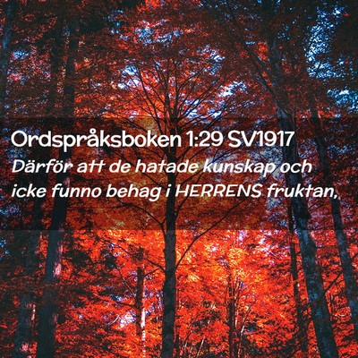 Picture 02 - Ordspråksboken 1:29 SV1917 - Därför att de hatade kunskap och icke funno - Bible Verse Picture
