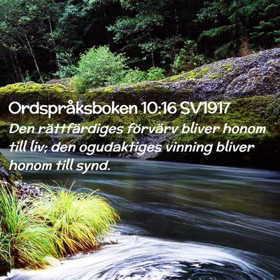 Picture 02 - Ordspråksboken 10:16 SV1917 - Den rättfärdiges förvärv bliver honom till - Bible Verse Picture