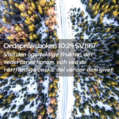 Picture 02 - Ordspråksboken 10:24 SV1917 - Vad den ogudaktige fruktar, det vederfares honom, - Bible Verse Picture