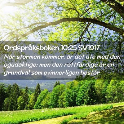 Picture 02 - Ordspråksboken 10:25 SV1917 - När stormen kommer, är det ute med den - Bible Verse Picture