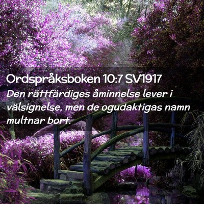 Picture 02 - Ordspråksboken 10:7 SV1917 - Den rättfärdiges åminnelse lever i - Bible Verse Picture