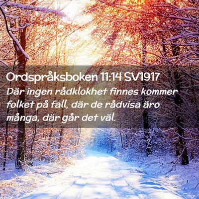 Picture 02 - Ordspråksboken 11:14 SV1917 - Där ingen rådklokhet finnes kommer folket på - Bible Verse Picture