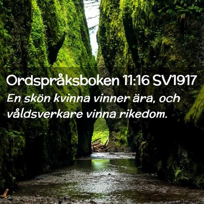 Picture 02 - Ordspråksboken 11:16 SV1917 - En skön kvinna vinner ära, och våldsverkare - Bible Verse Picture