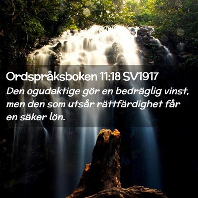 Picture 02 - Ordspråksboken 11:18 SV1917 - Den ogudaktige gör en bedräglig vinst, men den - Bible Verse Picture